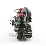 Rotax 125 Max DD2 Evo