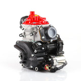 Rotax 125 Max Evo