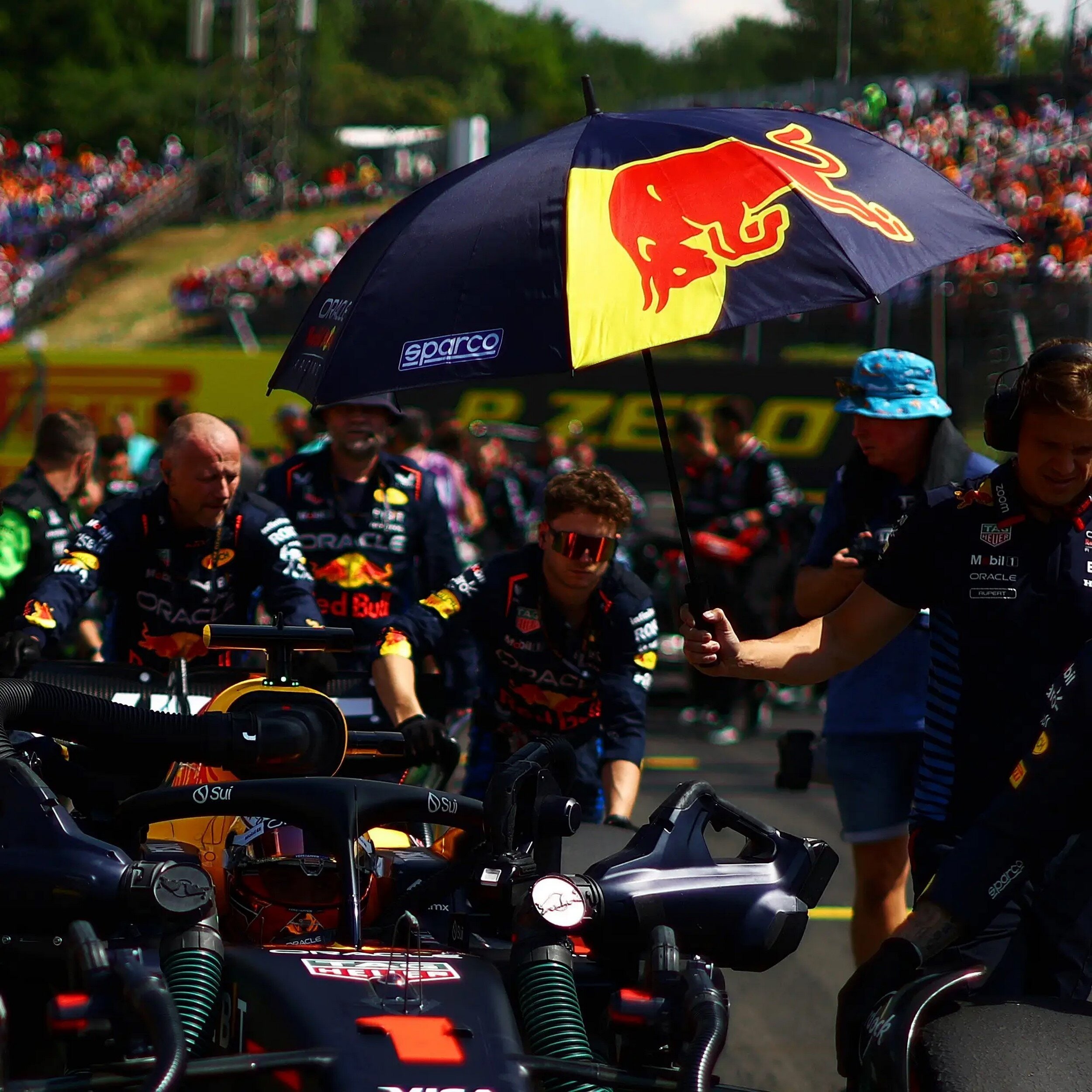 Paraply RedBull Racing