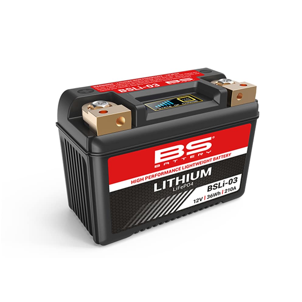 LiFePO4 | BS Battery | Batteri & Batteri Oplader - Radne